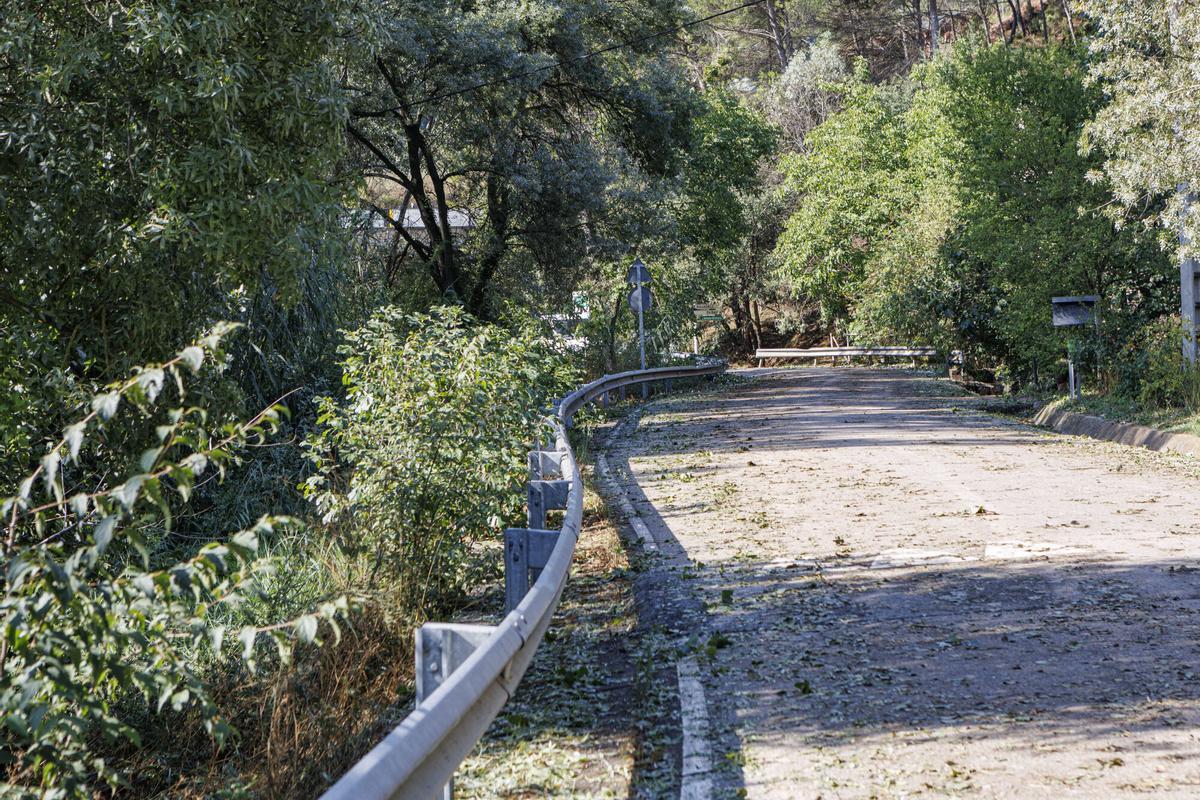 La pedra provoca afectacions en les vinyes al celler Collbaix