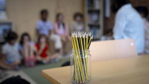 Una maestra de primaria, junto con sus alumnos.