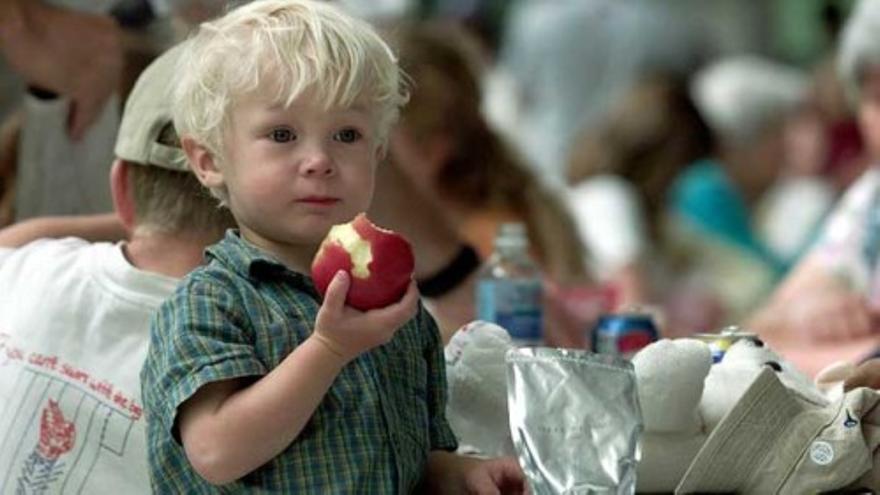 El 98% de los jóvenes no comen suficiente fruta y verdura