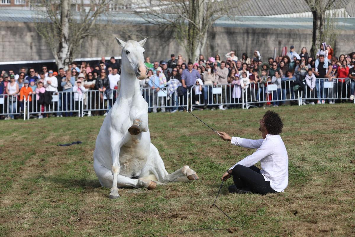 La XXXV Feira do Cabalo de Lalín cerró ayer su segunda y última jornada con una notable afluencia de público