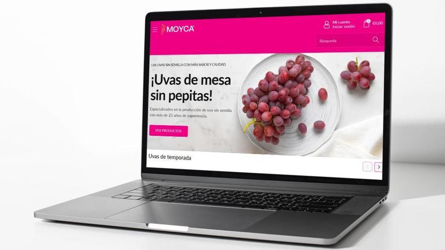 Moyca aumenta en un 400% las ventas de su tienda online