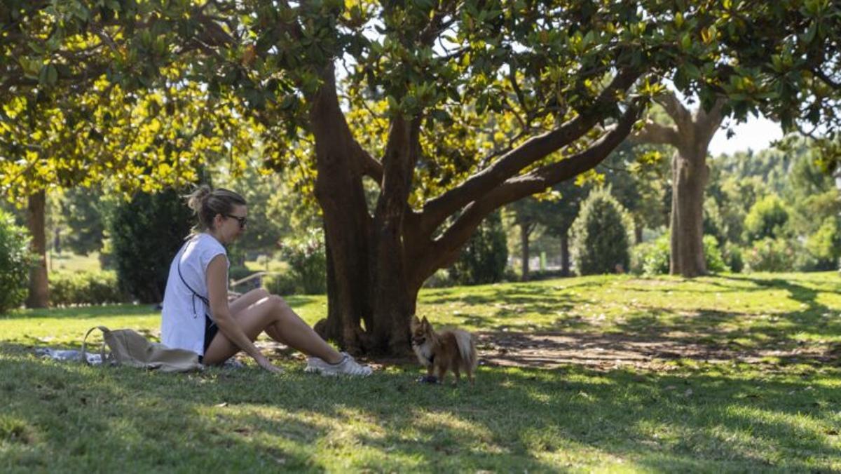 Refugio climático en el Parc de la Ciutadella