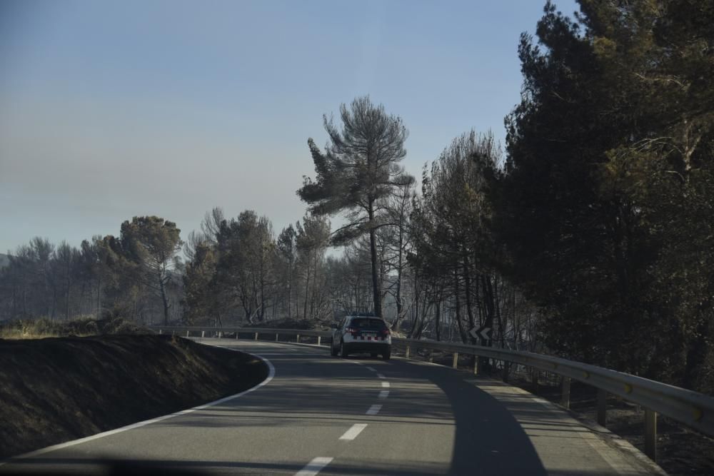 Incendi forestal a Sant Feliu Sasserra