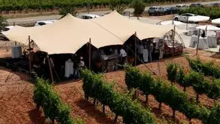 La bodega pionera de Rueda que cumple 50 años brindando por el pasado, el presente y el futuro