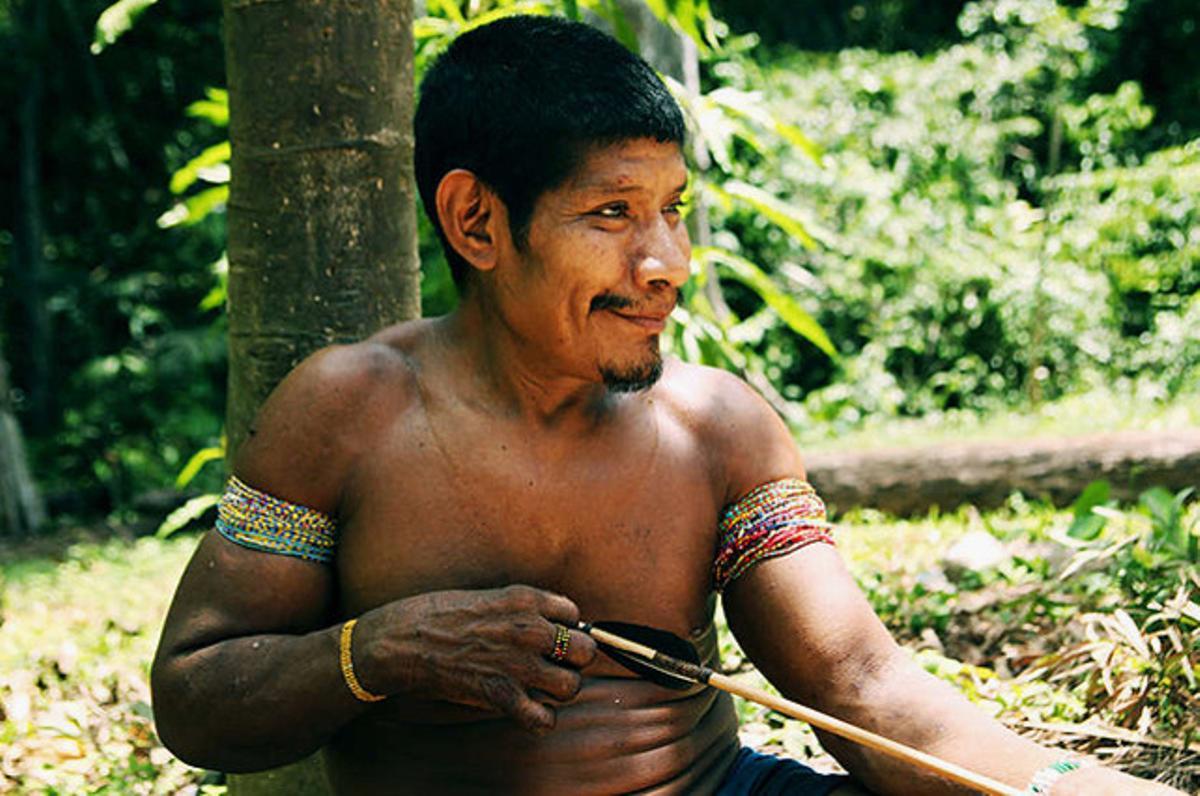 Campanya de l’associació Survival Internacional per a la supervivència de la tribu amazònica awà, de la qual queden 355 individus repartits a l’estat de Maranhao (Brasil).