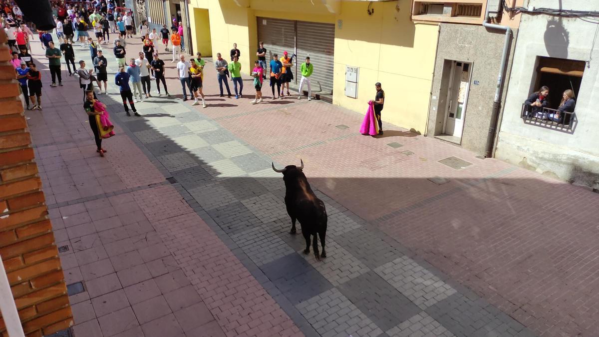 GALERÍA: El toro del cajón de La Reata, de las fiestas de Benavente, en imágenes