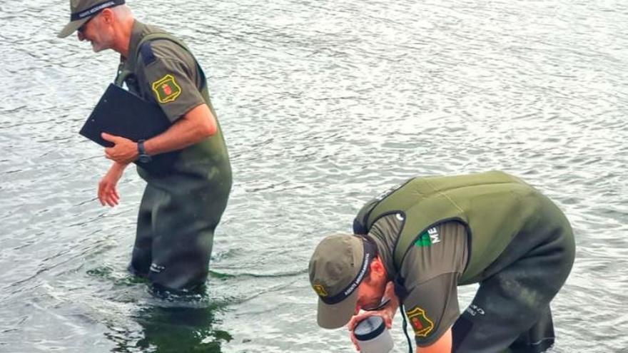 Luengo manda a sus técnicos 9 días después de la fiesta en la isla del Ciervo