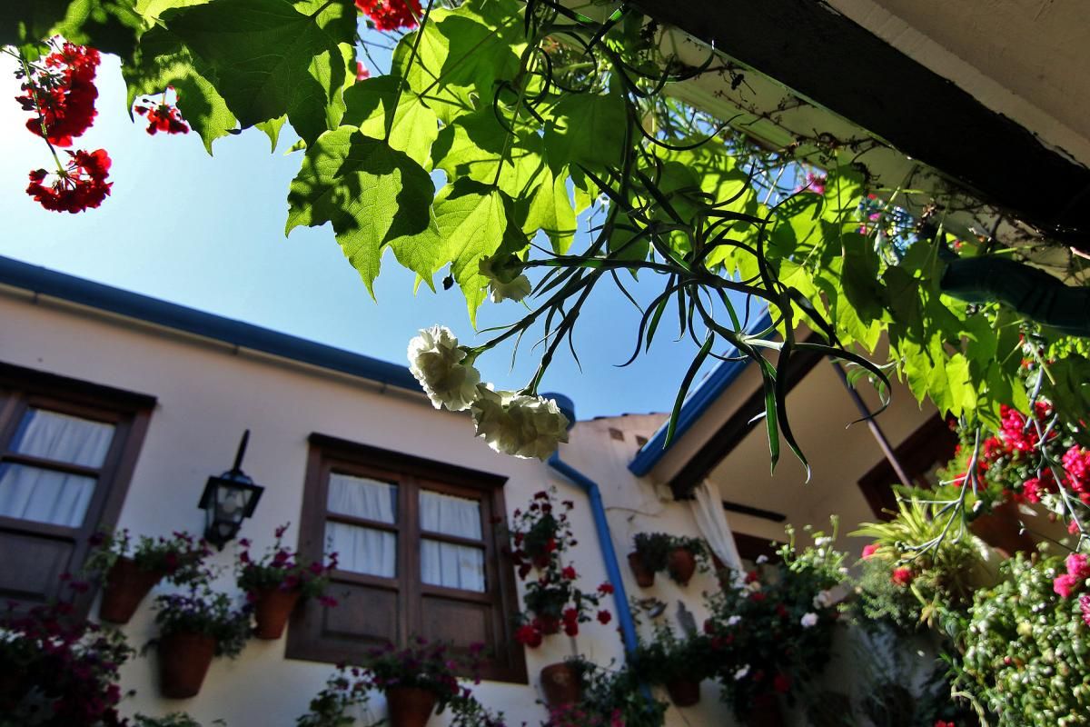 De patios por San Andrés y el Realejo