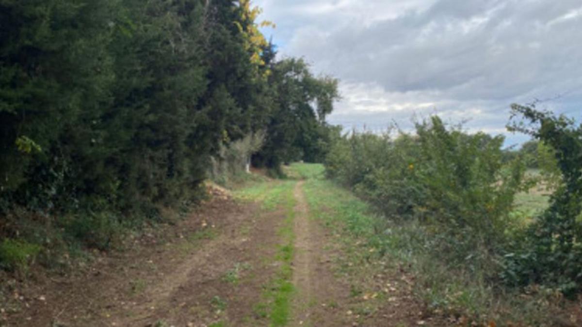 El camí que s’està asfaltant per construir el vial. | AJUNTAMENT DE CRUÏLLES