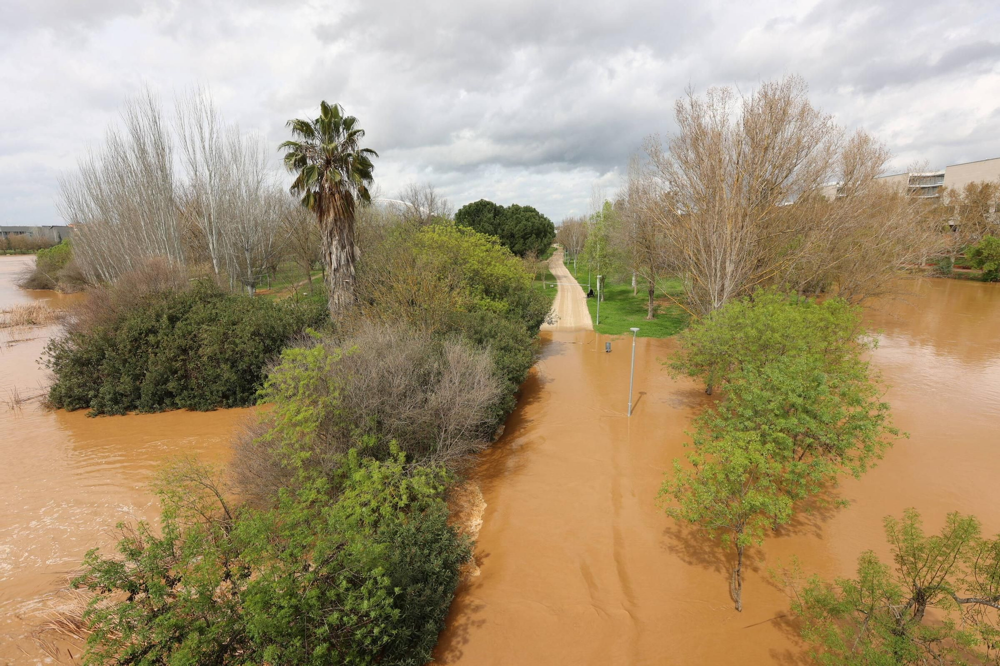Así de crecido pasa el caudal del río Guadiana por Mérida