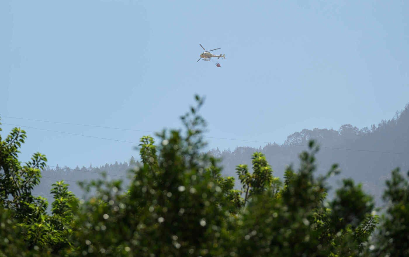 Reactivación del incendio en Santa Úrsula, en el norte de Tenerife