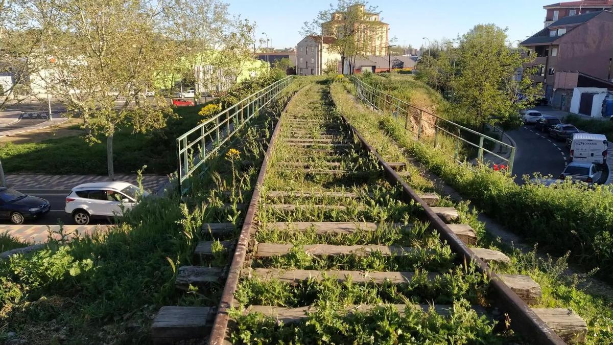 Tren Ruta de la Plata a su paso por Zamora.