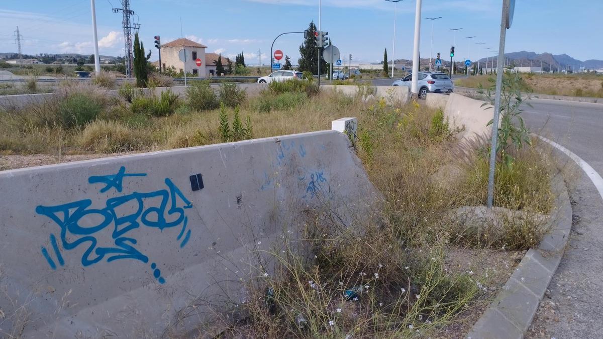 Vegetación sin podar en la Costera Sur en el tramo entre La Alberca y El Palmar.