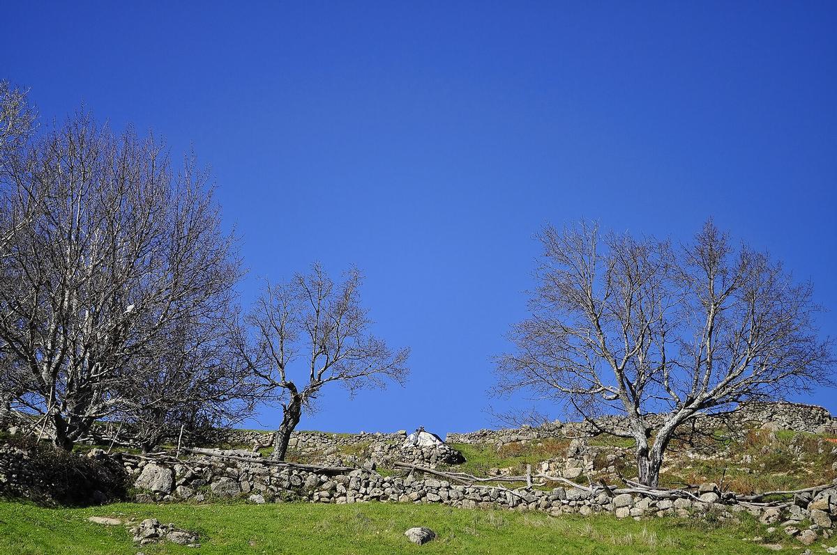 Valle del Ambroz