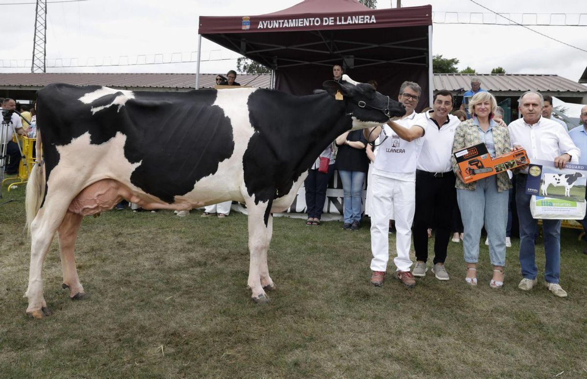 «Badiola King Royal BIBA», de la Ganadería Badiola, gran campeona del concurso de frisonas. Junto a ella, José Ramón y Paulino Badiola, con el alcalde de Llanera, Gerardo Sanz, y Rocío Huerta, directora de Ganadería. | A. Ll.