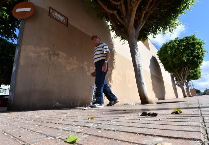 10/07/2019 CASAS NUEVAS. TELDE. Basura en el barrio de Casas Nuevas.   Fotógrafa: YAIZA SOCORRO.  | 10/07/2019 | Fotógrafo: Yaiza Socorro