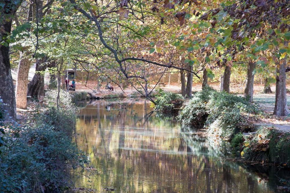 Fuentes del Marques: El otoño nace en Caravaca