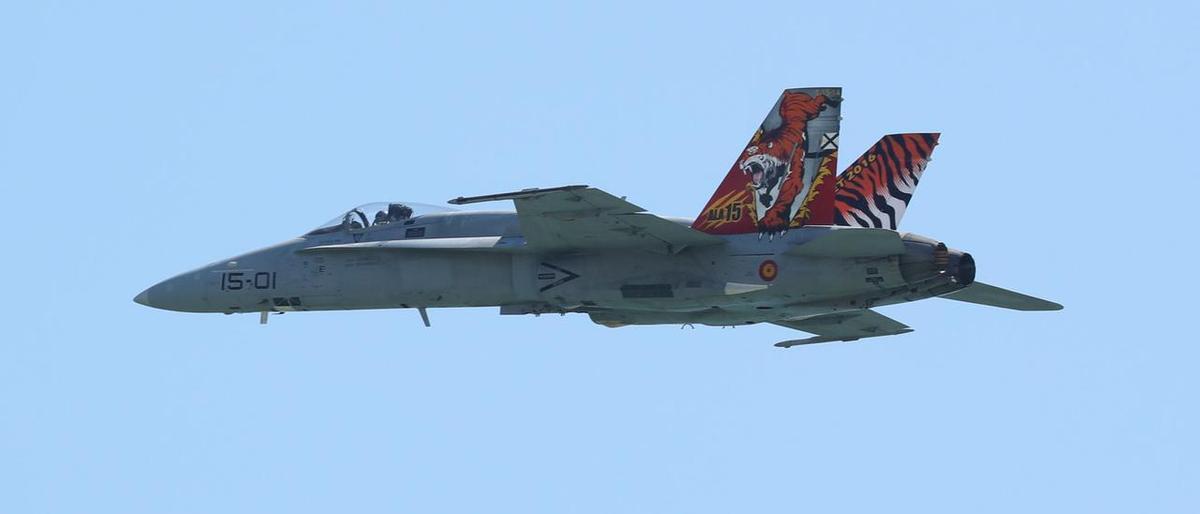 Un caza F-18 Hornet del Ejército del Aire.