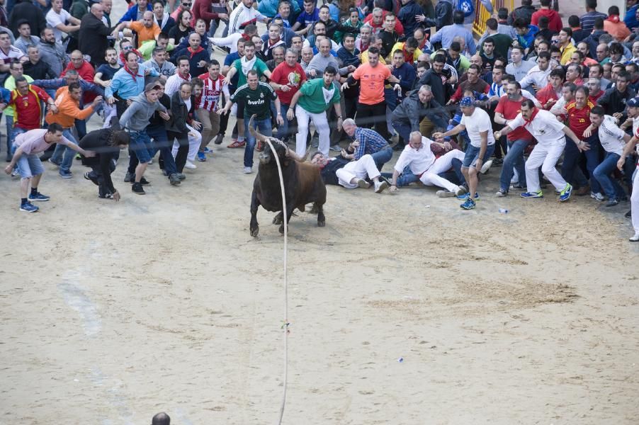 Enmaromado 2016: Lechugazo da la talla