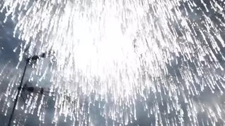 La Palmera de la Virgen alcanza la avenida Juan Carlos I de Elche