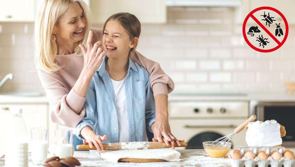 Medinet dona servei a hotels, restaurants, bars, càmpings, fàbriques,  magatzems, empreses agropecuàries i particulars.