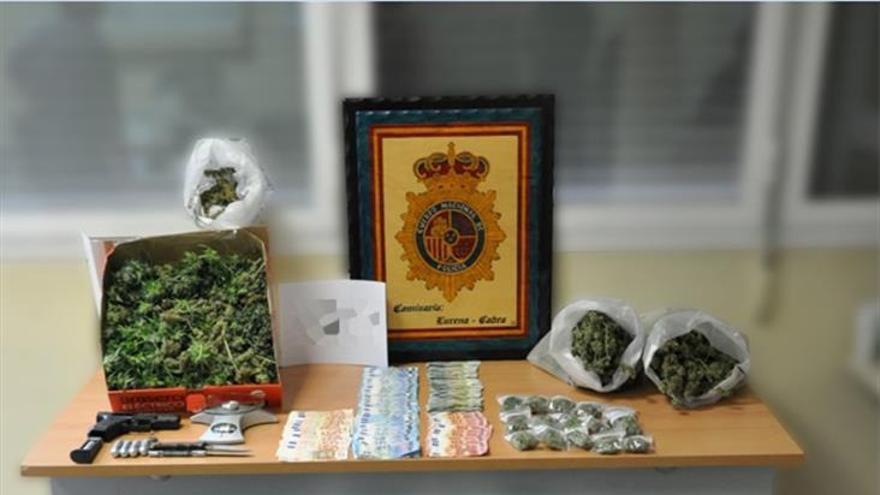 Incautadas más de 90 plantas de marihuana  con un detenido en Lucena