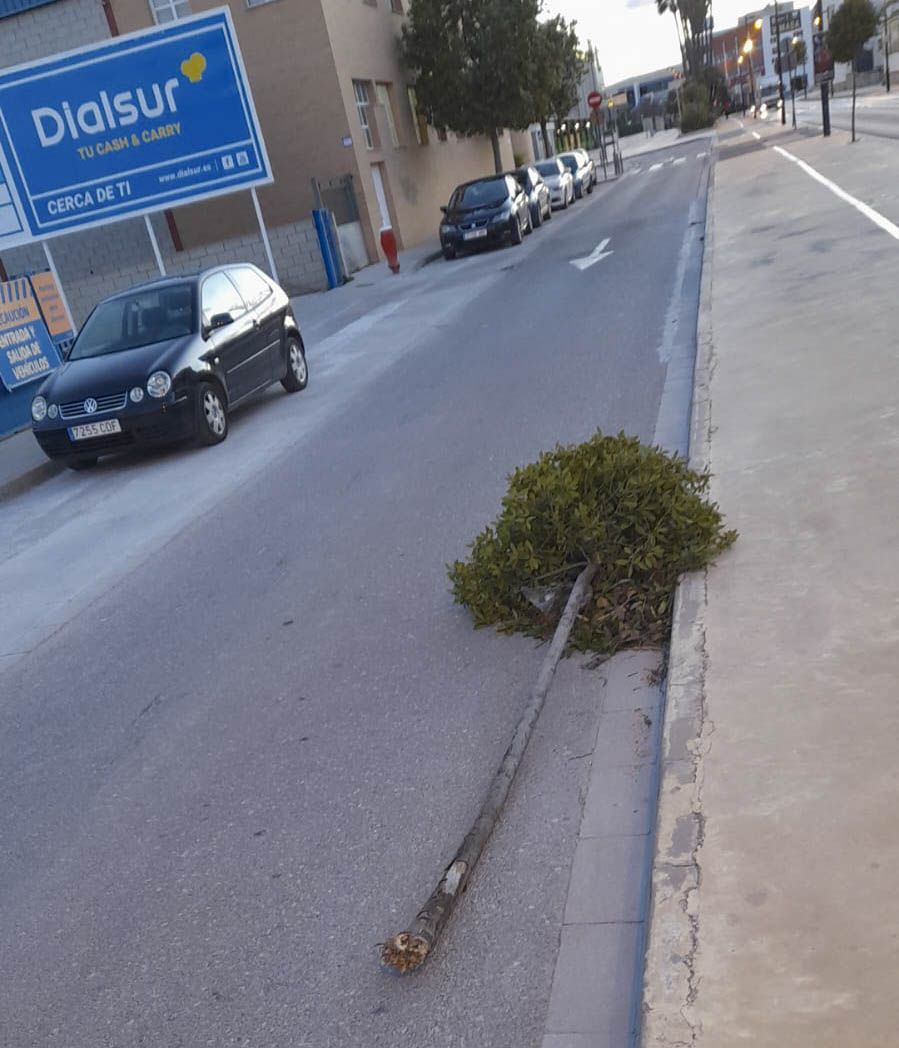 El viento causa varios incidentes en Xàtiva y Ontinyent