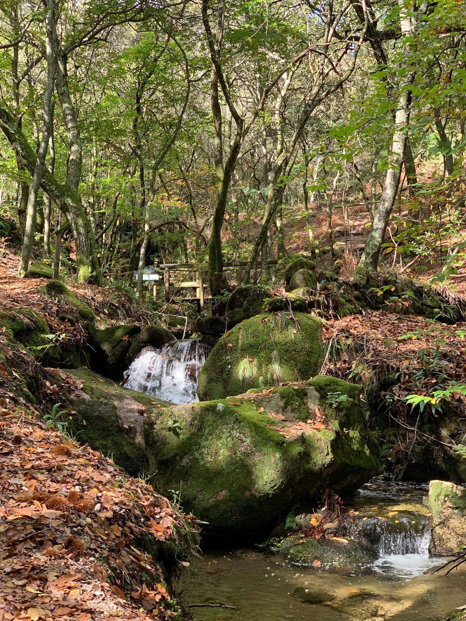 Vista del Parque Natural del Monte Aloia en otoño de 2022.