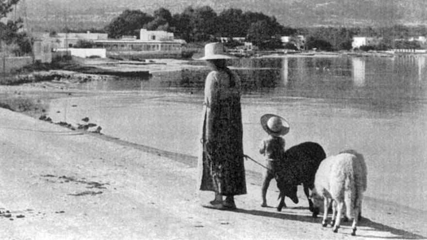 Paseo vespertino en la bahía de Portmany.