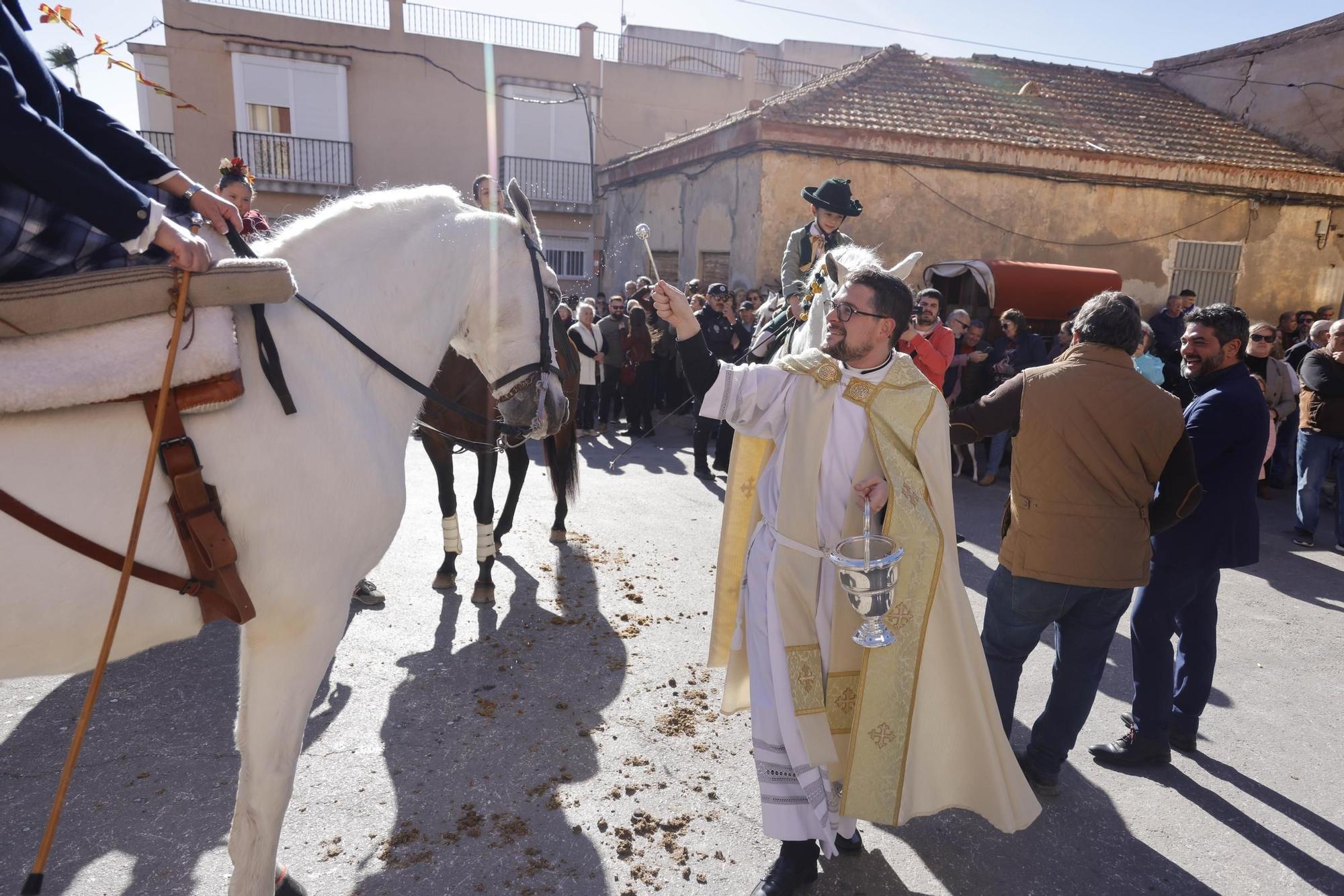 FOTOS: los mejores momentos de la bendición de animales por San Antón en Cartagena