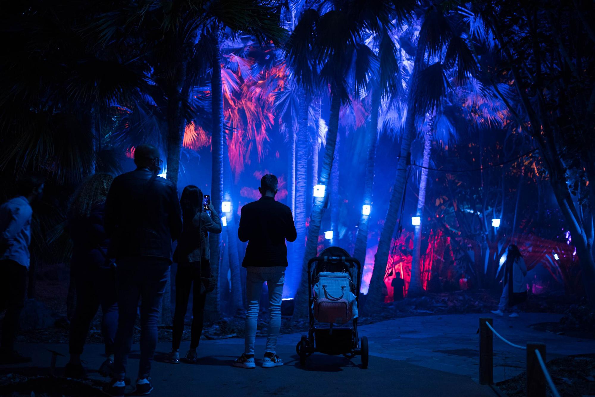 Estreno del espectáculo 'Naturaleza Encendida' en el Palmetum