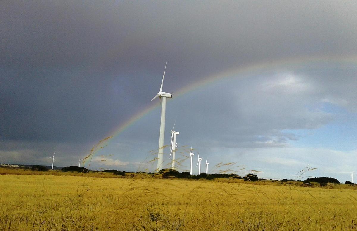 El parque eólico de Iberdrola en la provincia de Zaragoza.