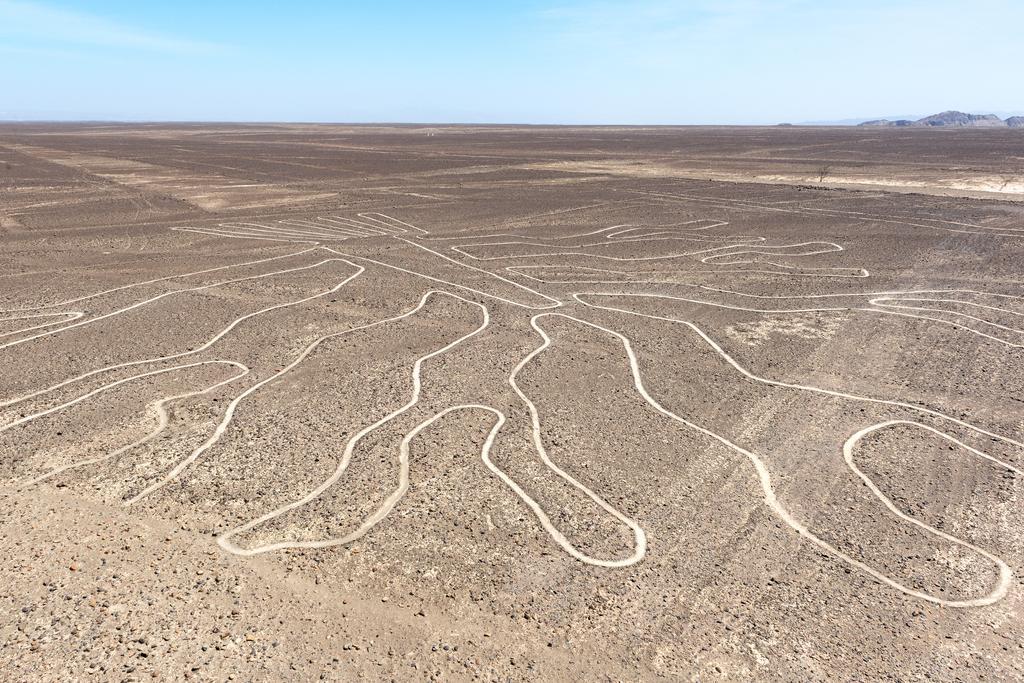 Silueta de un árbol en las Líneas de Nazca