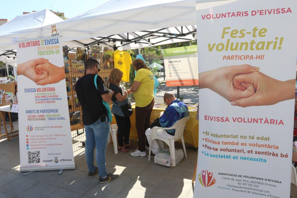 Primera fiesta del voluntariado en Ibiza