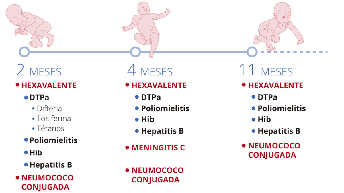 calendario-vacunas-recomendado-sanidad