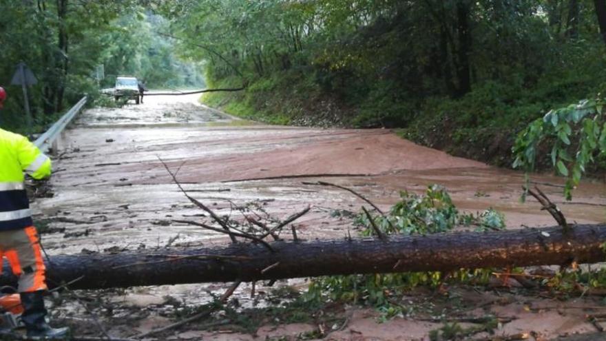 L&#039;accés a Espinelves, tallat per la caiguda d&#039;un arbre