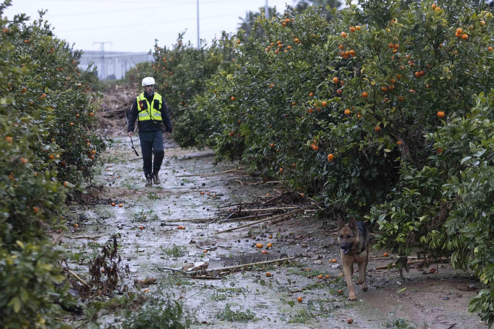 La UME continua la busqueda de desaparecidos