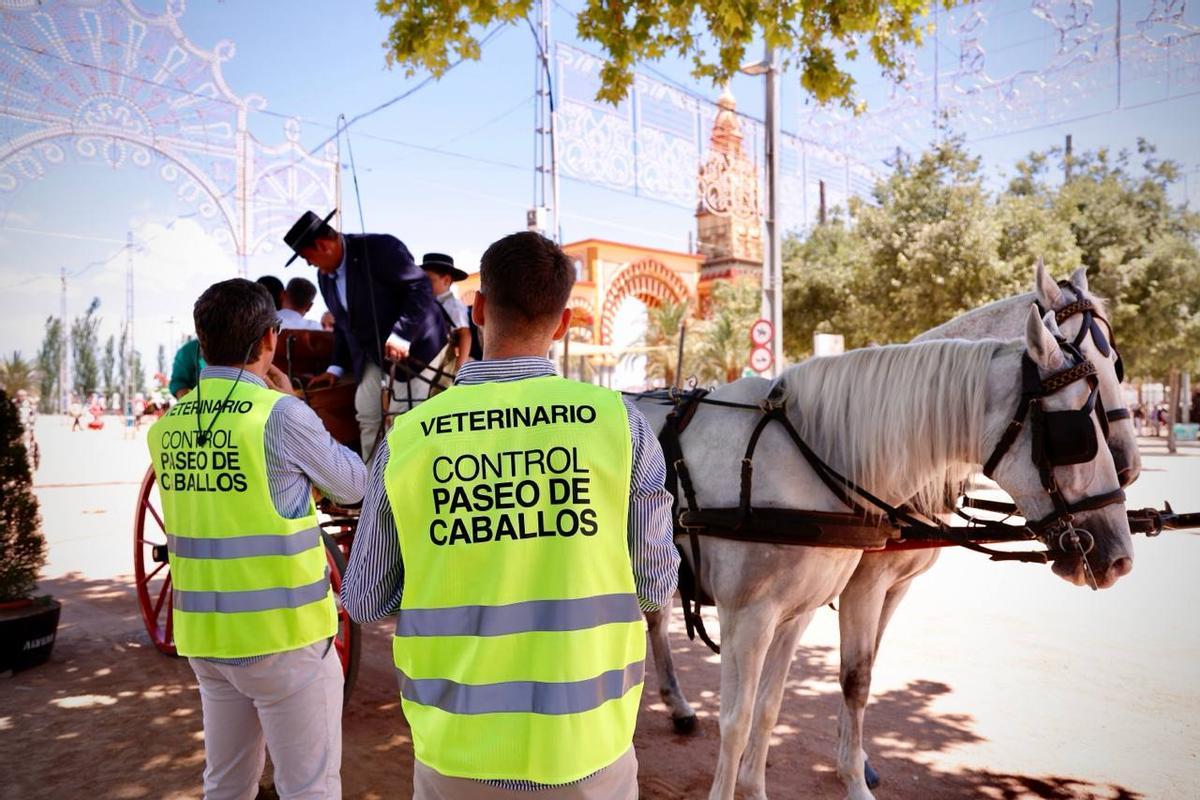 El paseo de los Carruajes de Tradición por la Feria de Córdoba, en imágenes El paseo de los Carruajes de Tradición por la Feria de Córdoba, en imágenes