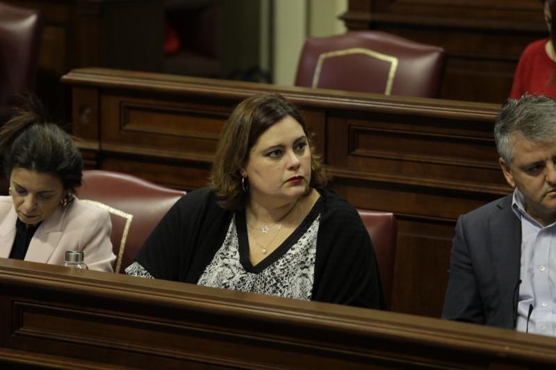 El pleno del Parlamento de Canarias continua con varias comparecencias, entre ellas varias de la consejera de Educación, María José Guerra, para abordar cuestiones como el absentismo y el abandono escolar temprano o el Plan Estratégico de Atención a la Diversidad en la Ley Canaria de Educación  | 12/02/2020 | Fotógrafo: Delia Padrón