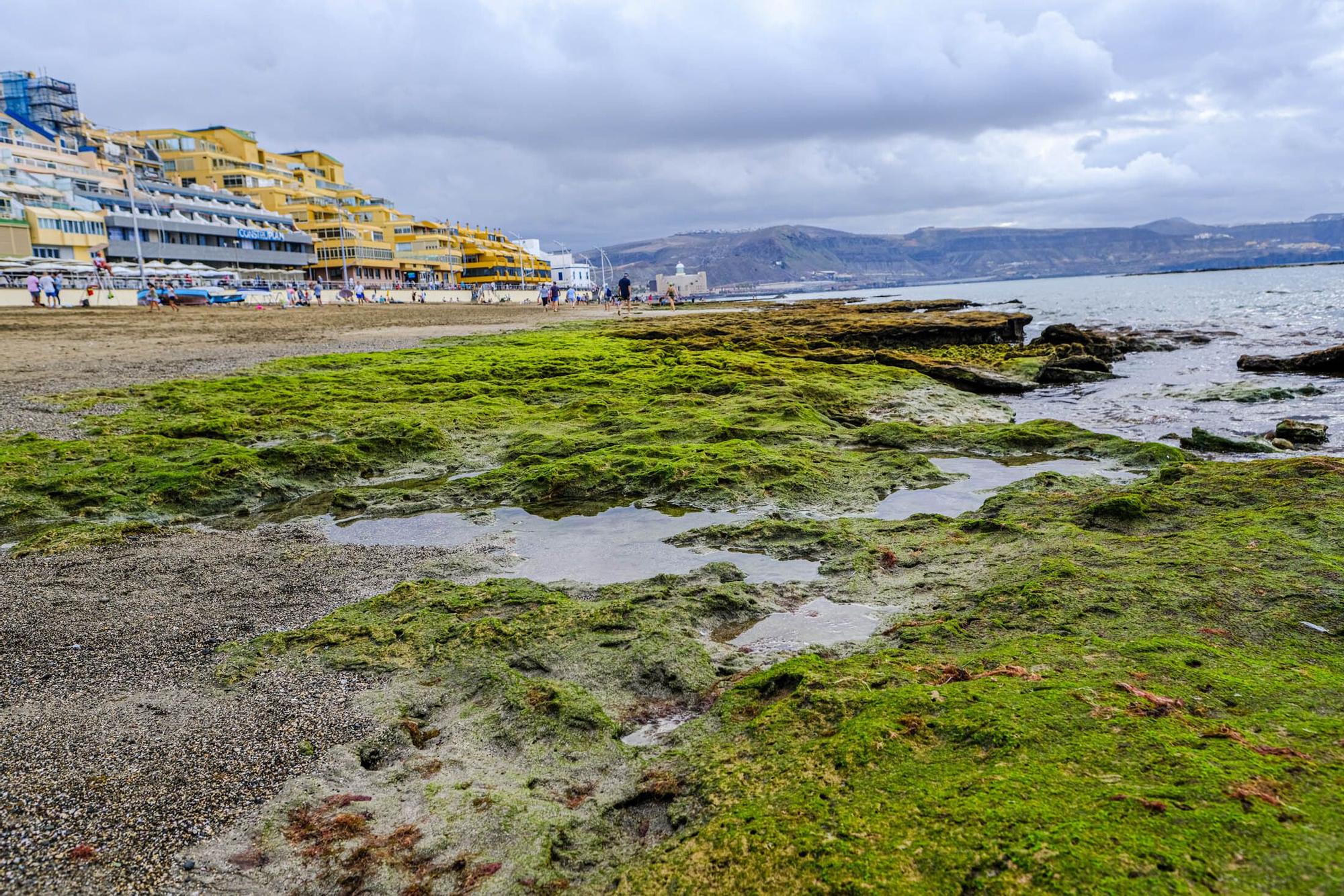 Playas fósiles de Las Canteras