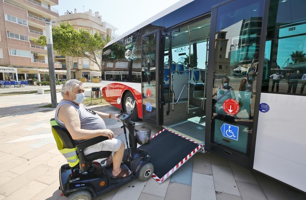 Avanza renueva el 50% de la flota del bus urbano en Torrevieja con siete nuevos vehículos