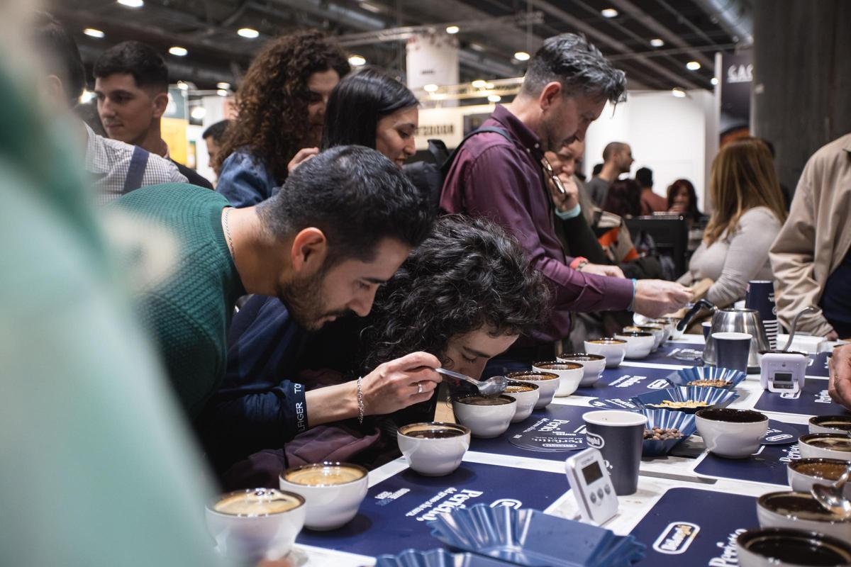 Catas en Coffee Fest.