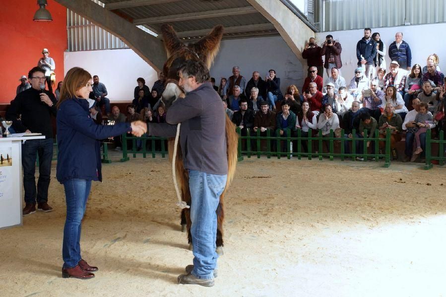 Feria del burro en San Vitero y romería