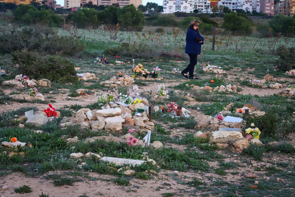 Junto al parque de Lo Albentosa de Torrevieja se extienden fosas y lápidas en una práctica no regulada