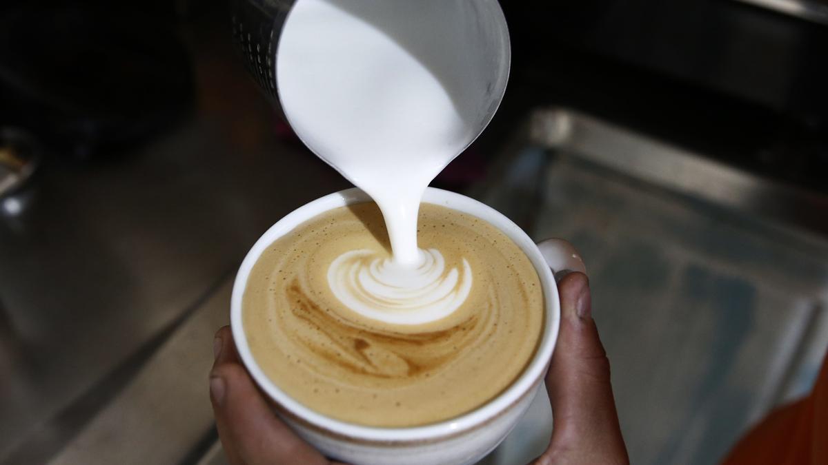 Es mejor tomar café con leche o café solo? – El Financiero