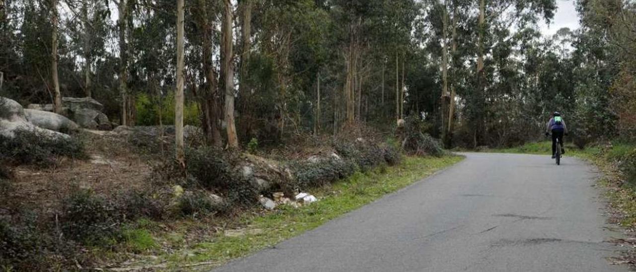 El camino de titularidad comunal que da a las parcelas de la planta de reciclaje. // Noé Parga