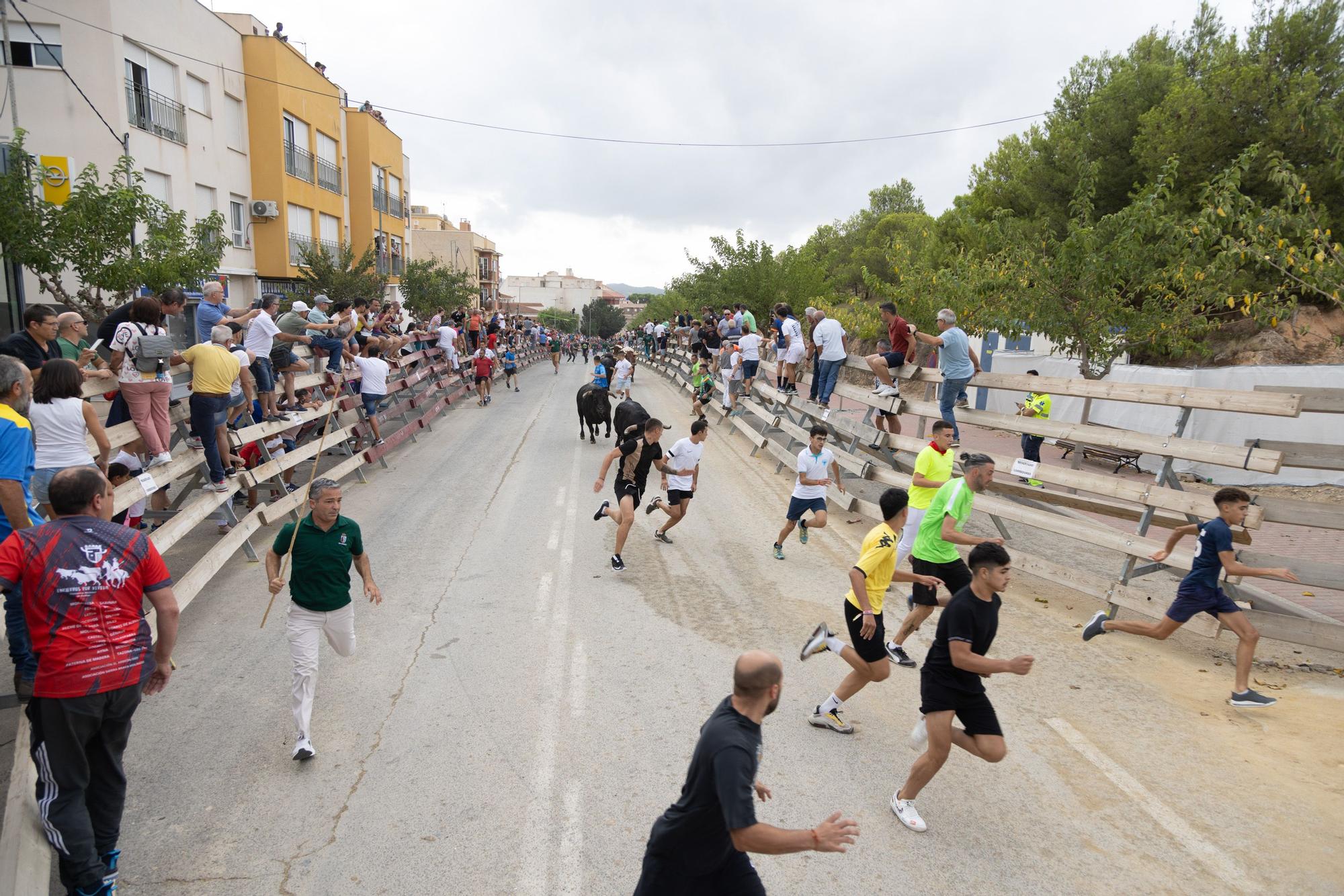 Tercer encierro de la Feria Taurina del Arroz en Calasparra