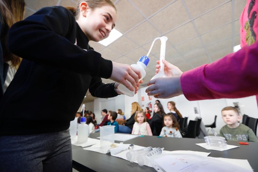 Día de la niña y la ciencia en el Vivarium