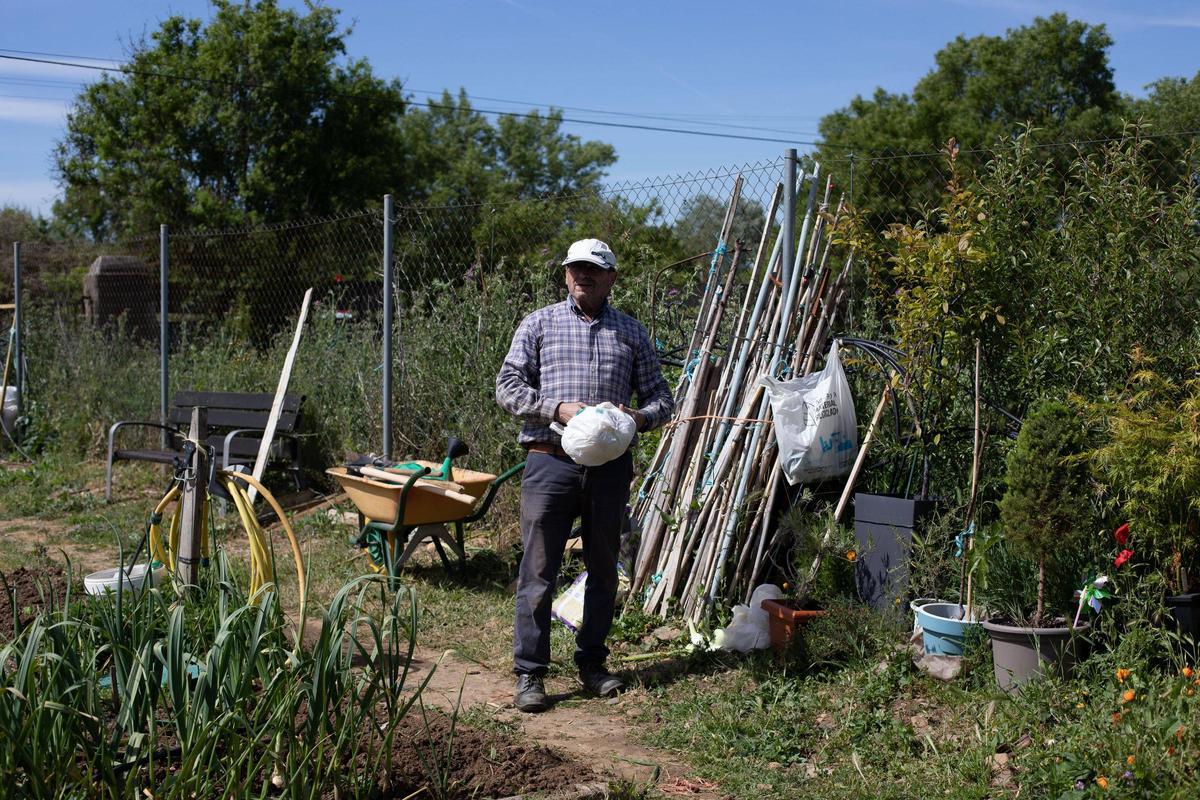 GALERÍA | Huertos municipales en Zamora: Creando comunidad entre tomates y cebollas