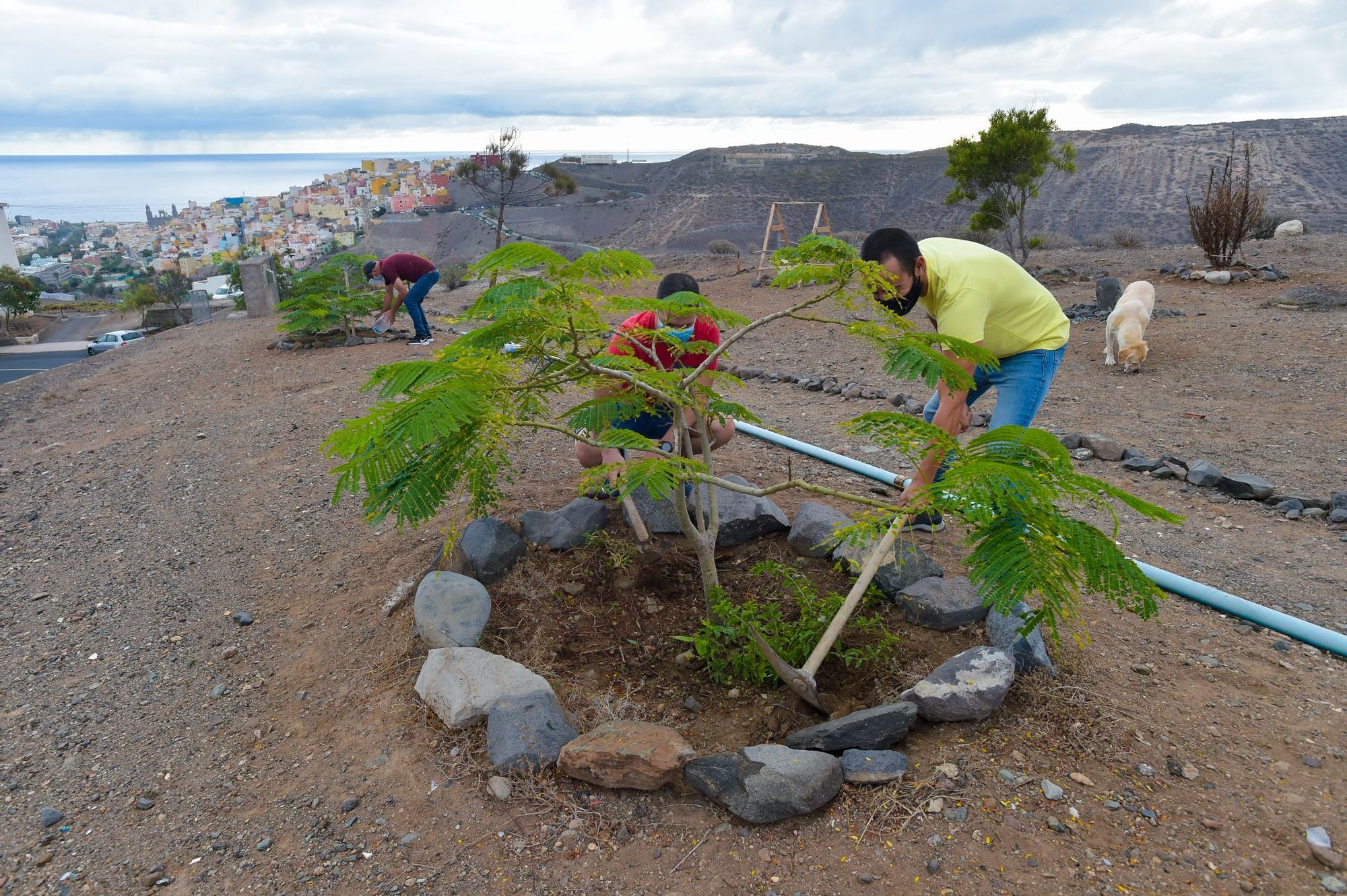 Unos vecinos plantan en un terreno yermo de El Batán